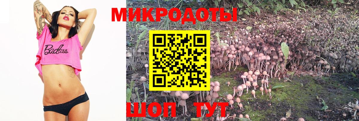 Галлюциногенные грибы мухоморы Горно-Алтайск