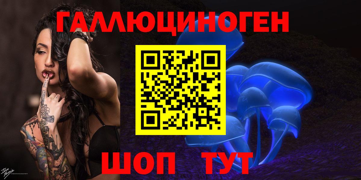 Горно-Алтайск  Галлюциногенные грибы мицелий  Вход с VPN 