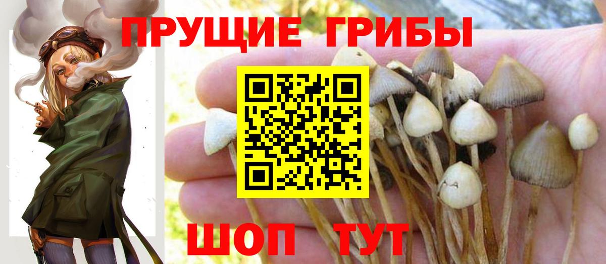 Горно-Алтайск  Вход с VPN  ГАШ  Где купить наркотики?  Мефедрон кристаллы  МЕТ  Конопля  НБОМе  Альфа ПВП СОЛЬ   КОКАИН  Бошки Шишки 