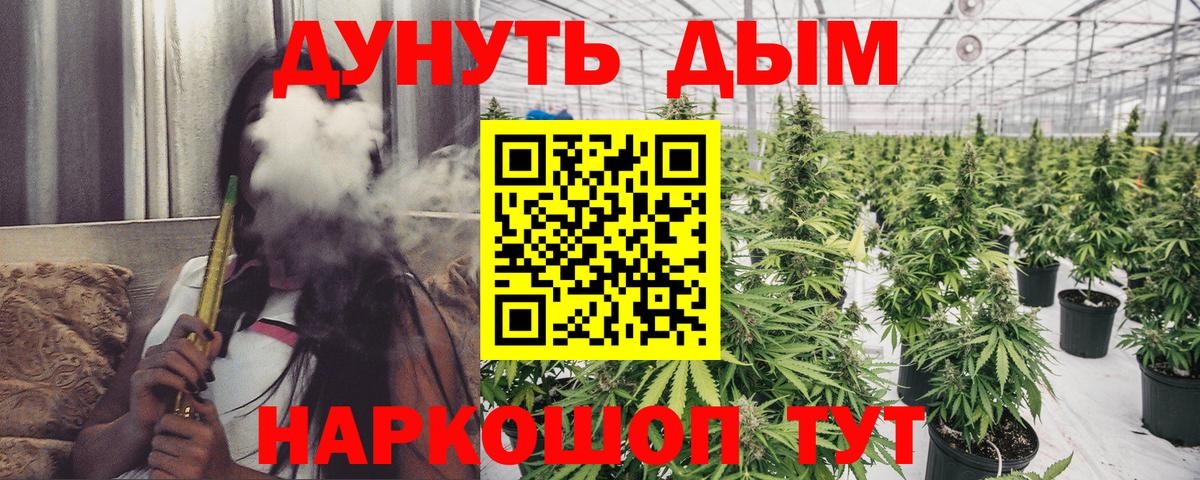 Марихуана гибрид Горно-Алтайск